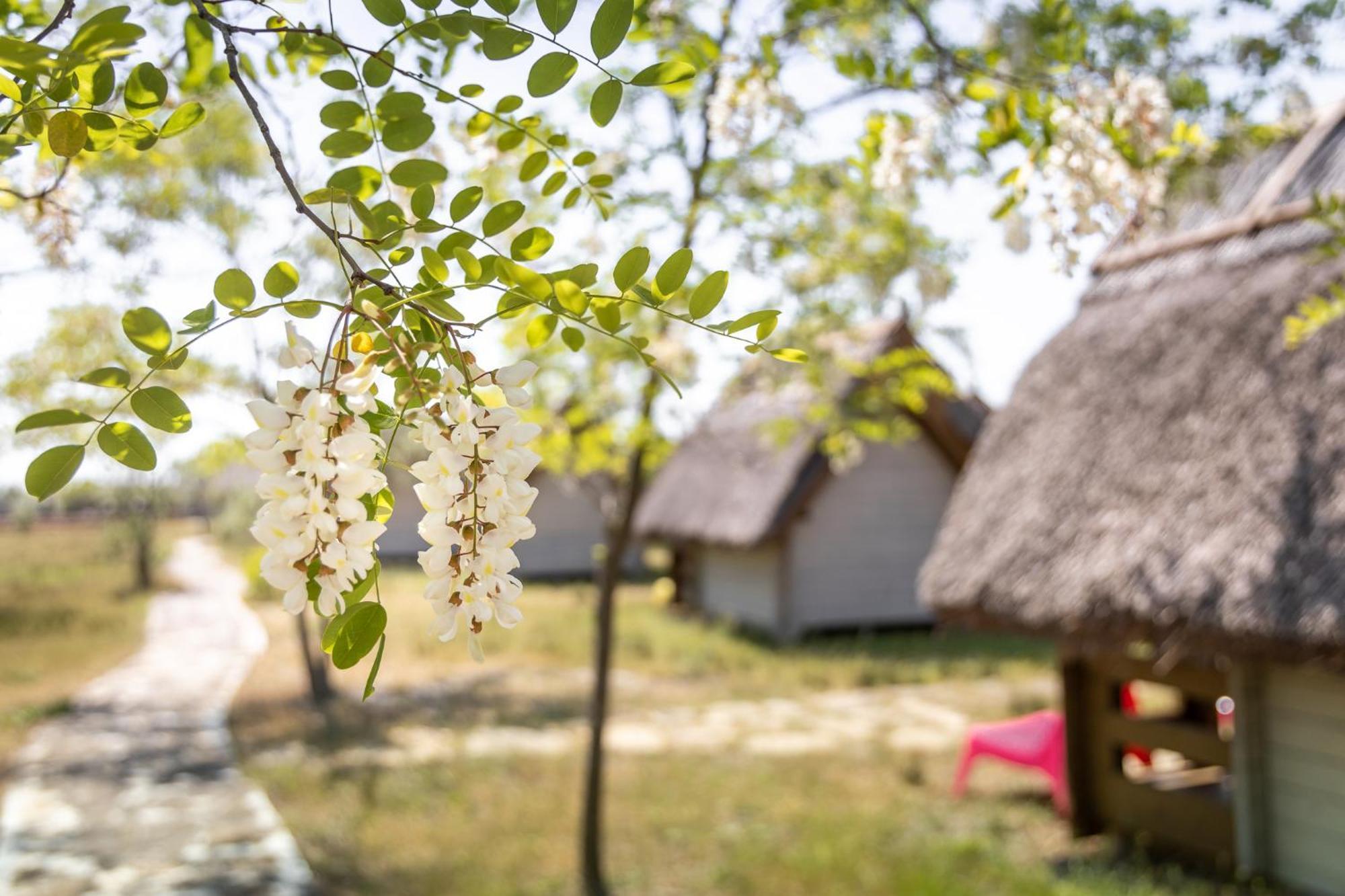 Dolphin Camping Hotell Sfântu Gheorghe Eksteriør bilde