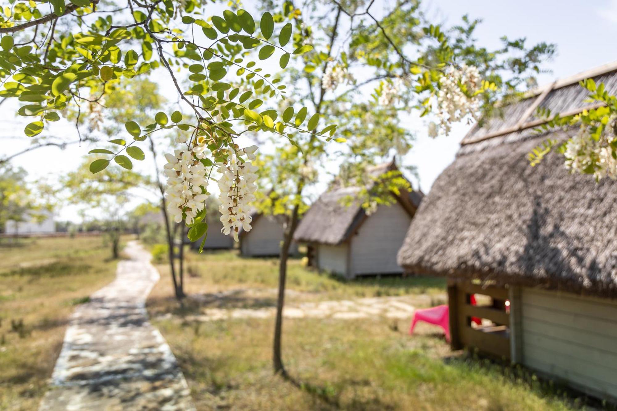 Dolphin Camping Hotell Sfântu Gheorghe Eksteriør bilde