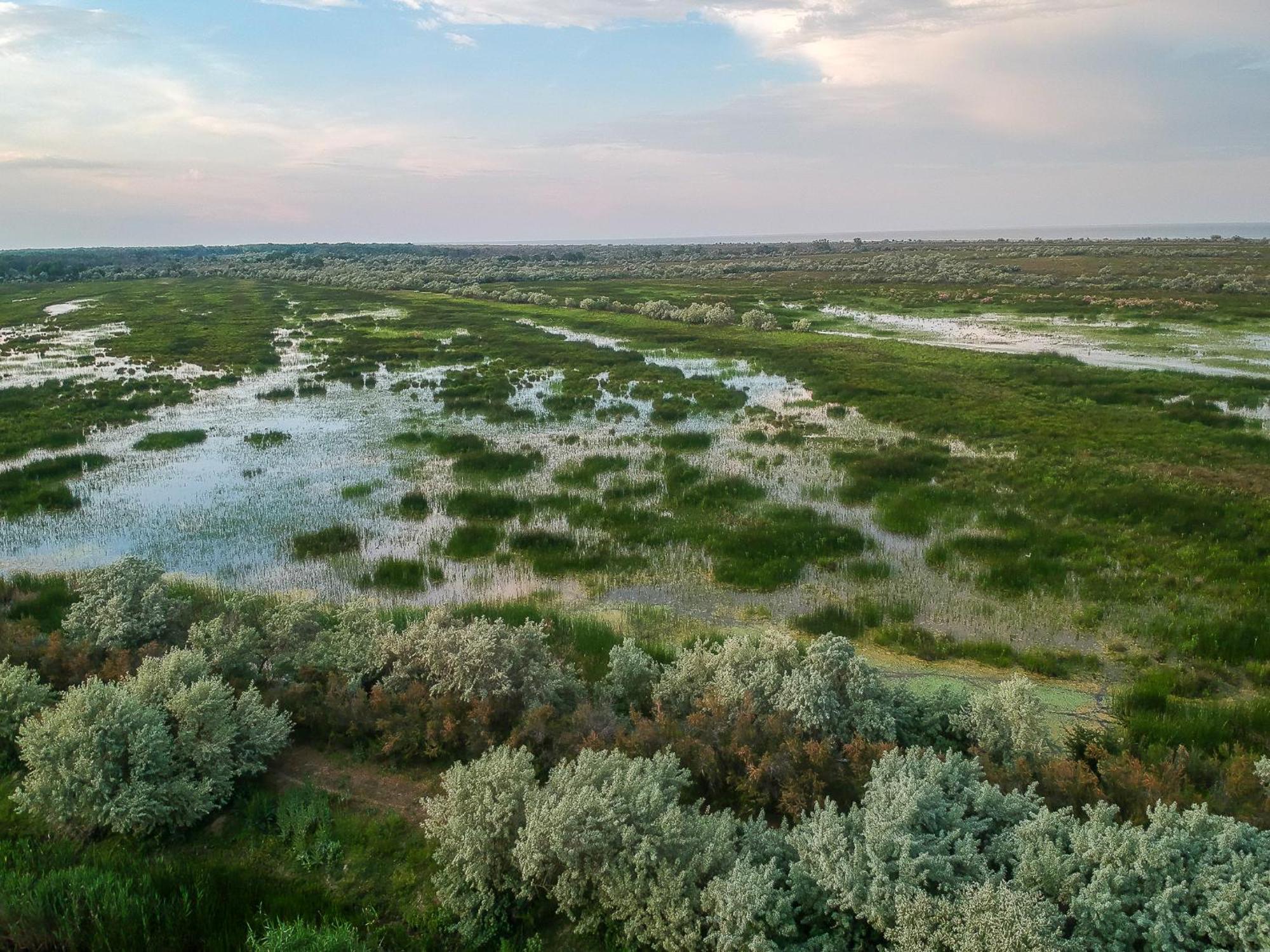 Dolphin Camping Hotell Sfântu Gheorghe Eksteriør bilde